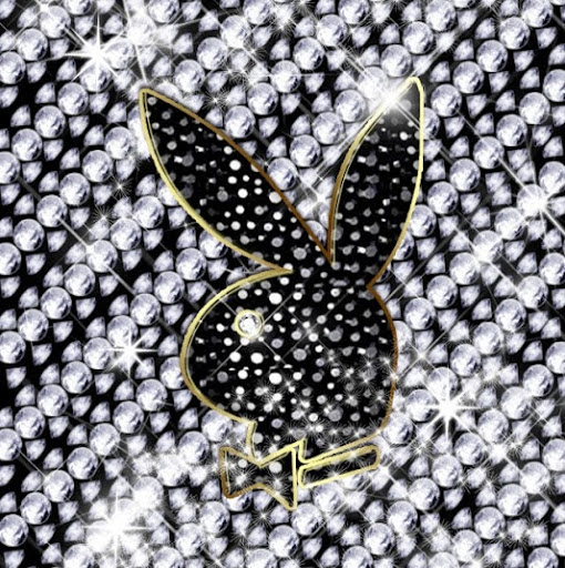 Robin Rosenberg Photo 15