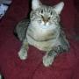 Teresa Harmon Photo 9