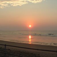 Theresa Sheehan Photo 15