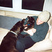 Erik Carter Photo 40