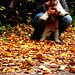 Ann Foret Photo 2