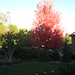 Linda Larue Photo 31