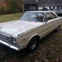 Elliott Stevens Photo 12