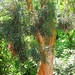 Geraldine Currie Photo 11