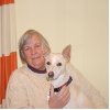 Jennifer Sheehan Photo 4