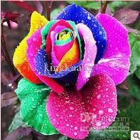 Julia Ashley Photo 11