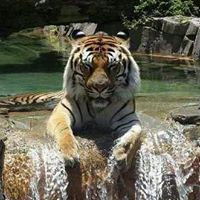 Lewis Booker Photo 20