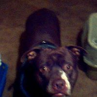 Pamela Giddens Photo 6