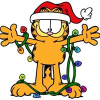 Christi Jenkins Photo 24