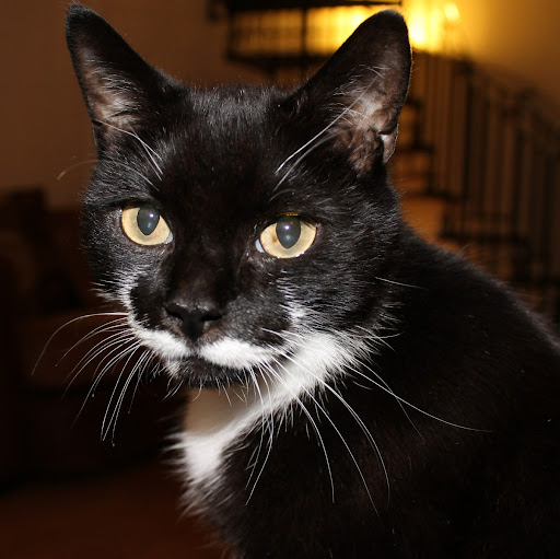 Gillian Bailey Photo 13