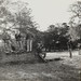 Richard Mathews Photo 32