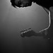 Robin Wolf Photo 3