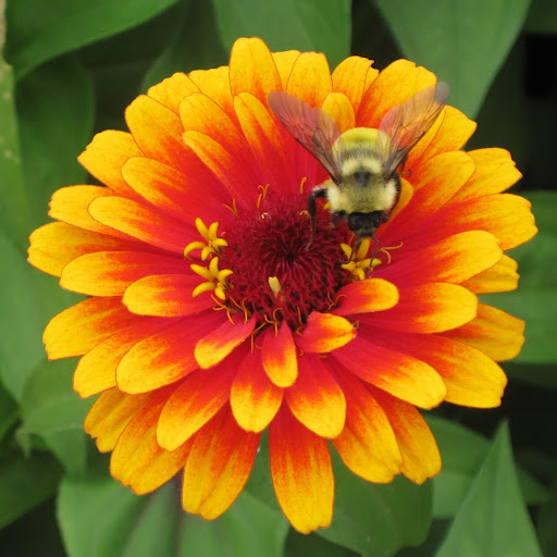 Vicki Simmons Photo 18