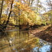 Katharine Williams Photo 14