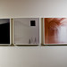 Lee Parisi Photo 11