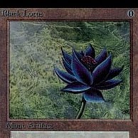 Jackson Reynolds Photo 38