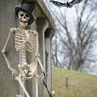 Stephen Dalley Photo 14