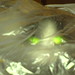 Crystal Parkinson Photo 10