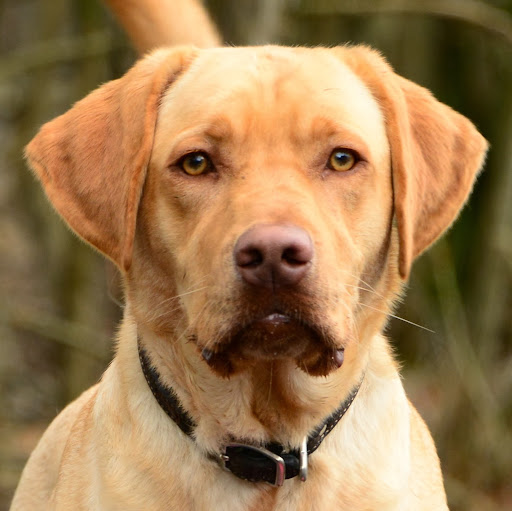 Mark Hartman Photo 23