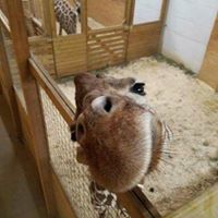 Katrina Webster Photo 16