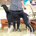Deborah Ratliff Photo 31