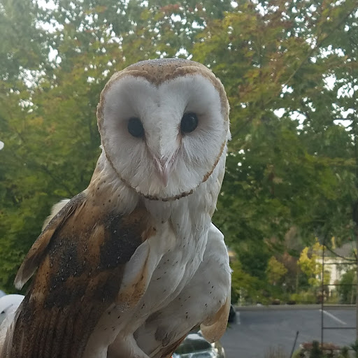 Robin Jacobs Photo 48