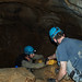 David Stillman Photo 9