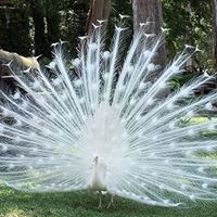 Stacy Alvarado Photo 4