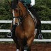 Karen Rider Photo 27