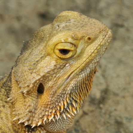 Justin Benoit Photo 11