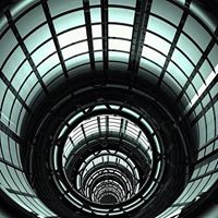 Raleigh Robinson Photo 18