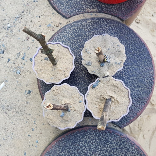 Dennis Richter Photo 30