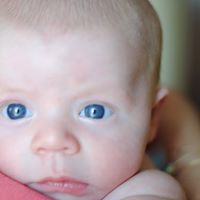 Sharon Davenport Photo 8