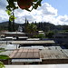 Marcos Colon Photo 30