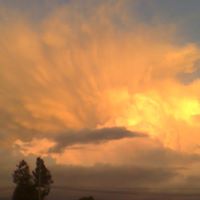 Julie Vasquez Photo 14