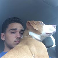 Jacob Rowan Photo 21 Jacob Rowan Photo 21