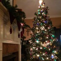 Janice Morey Photo 4