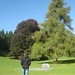 David Coole Photo 11