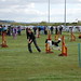 Diane Beck Photo 11