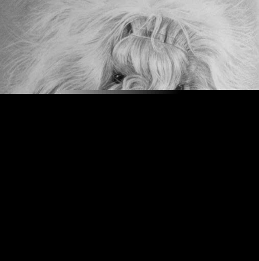 Dale Barker Photo 12