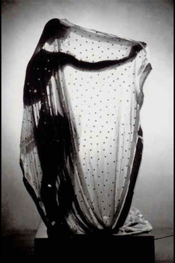 Alyssa Hopkins Photo 18