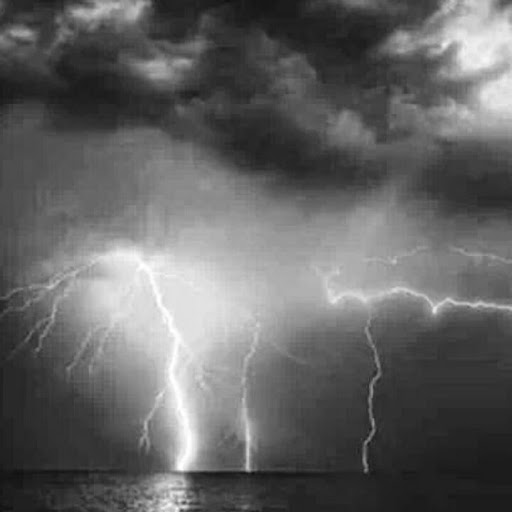 Dale Powell Photo 17