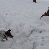 Max King Photo 17 Max King Photo 17