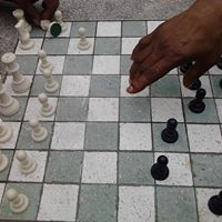 Lawrence Taylor Photo 33 Lawrence Taylor Photo 33