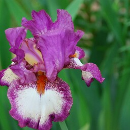 Anita Hatfield Photo 12