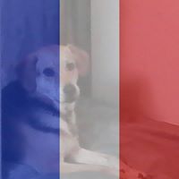 Teresa Chang Photo 18