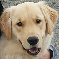 Robin Horner Photo 4