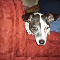 Sally Dingle Photo 3