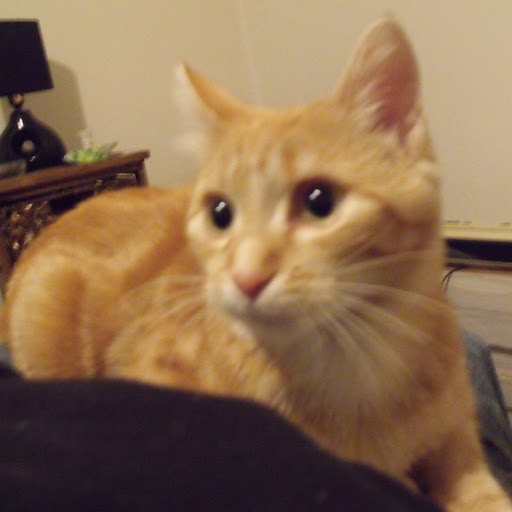 David Grenier Photo 31