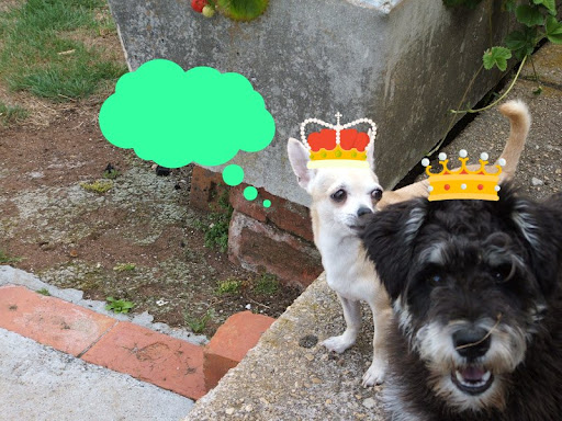 Marilyn Watson Photo 8